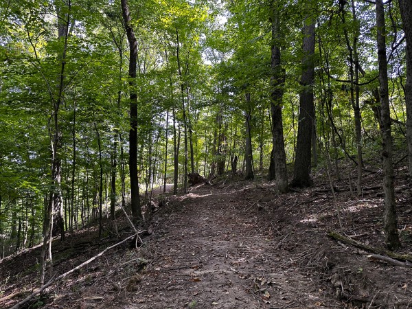 Great Value Cabin at Titus Woods property photo