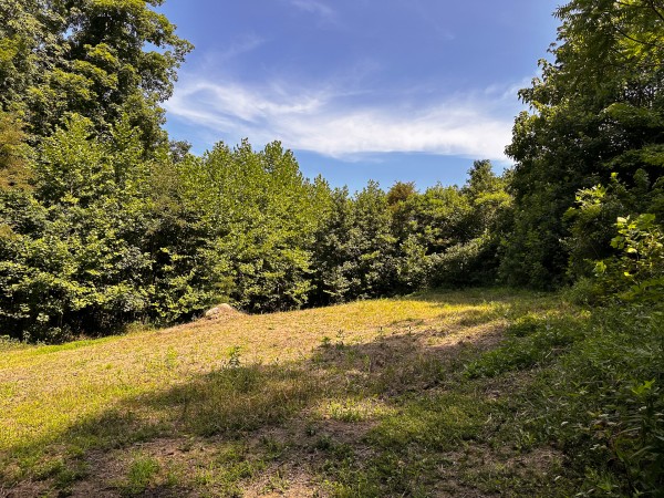 Great Value Cabin at Titus Woods property photo