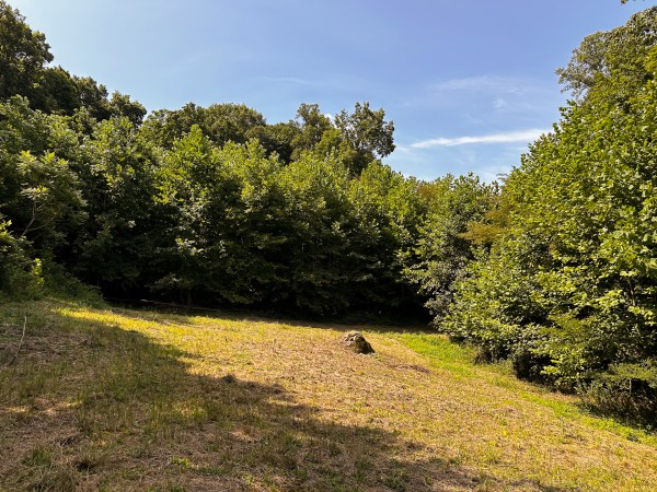Great Value Cabin at Titus Woods property photo