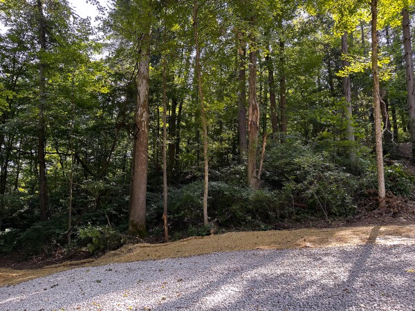 Great Value Cabin at Titus Woods property photo