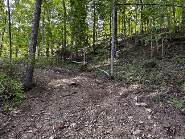 Great Value Cabin at Titus Woods property photo