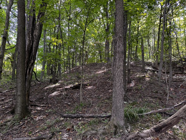 Great Value Cabin at Titus Woods property photo