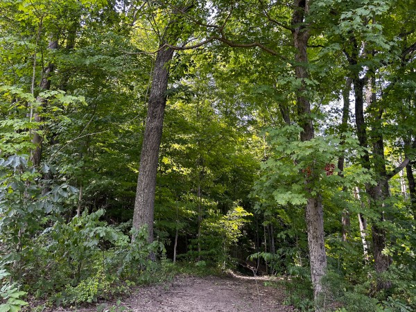 Great Value Cabin at Titus Woods property photo
