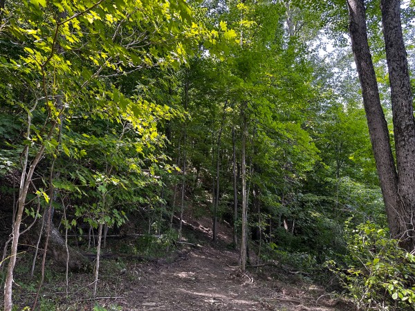 Great Value Cabin at Titus Woods property photo