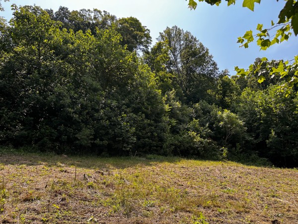 Great Value Cabin at Titus Woods property photo