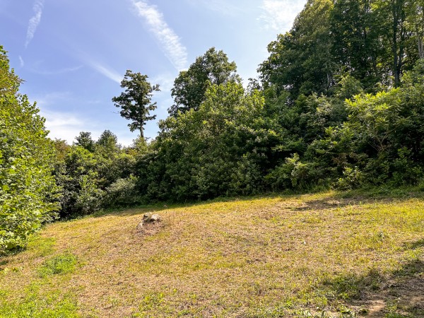 Great Value Cabin at Titus Woods property photo
