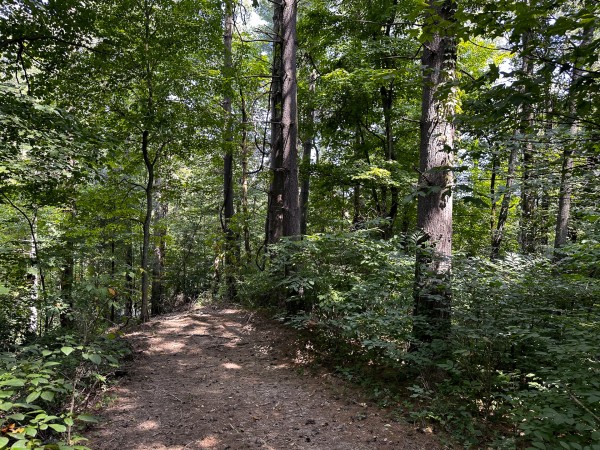 Great Value Cabin at Titus Woods property photo