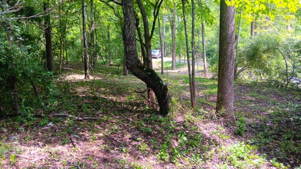 Tract 4 at Turkey Run property photo