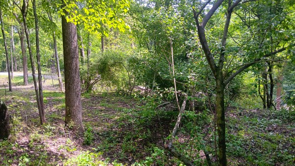 Tract 4 at Turkey Run property photo