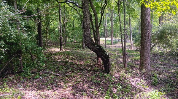 Tract 4 at Turkey Run property photo
