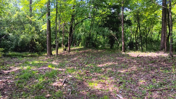 Tract 4 at Turkey Run property photo