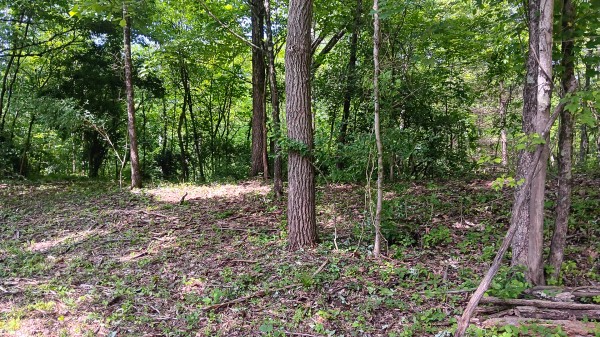 Tract 4 at Turkey Run property photo