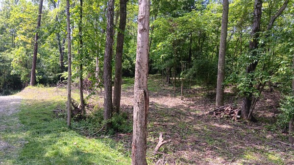 Tract 4 at Turkey Run property photo