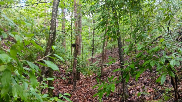 Tract 4 at Turkey Run property photo