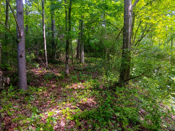 Tract 4 at Turkey Run property photo
