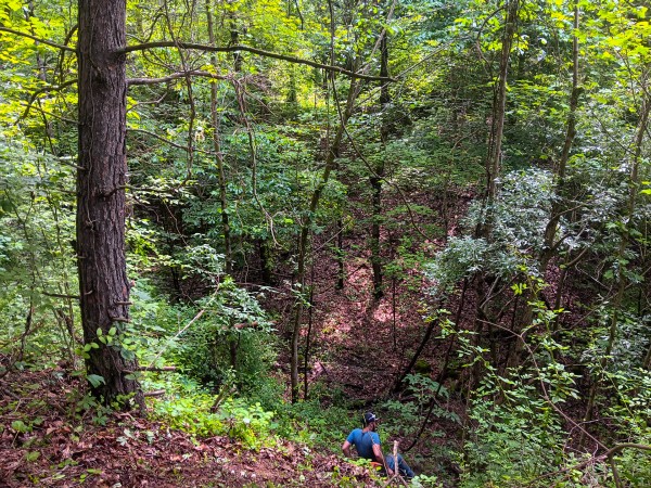 Tract 4 at Turkey Run property photo