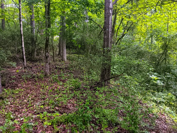 Tract 4 at Turkey Run property photo
