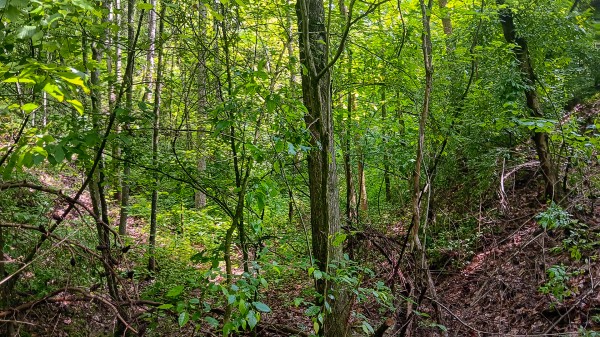 Tract 4 at Turkey Run property photo