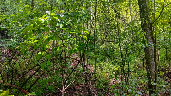 Tract 4 at Turkey Run property photo