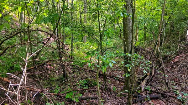 Tract 4 at Turkey Run property photo