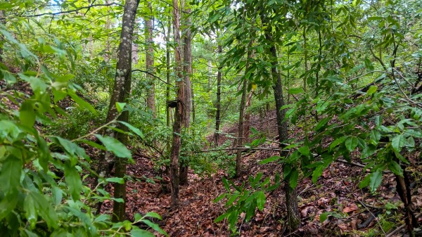 Tract 4 at Turkey Run property photo