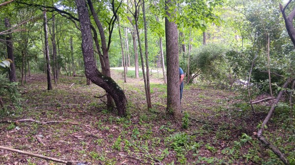 Tract 4 at Turkey Run property photo