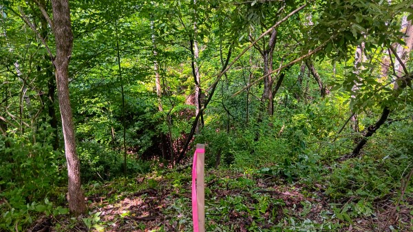 Tract 4 at Turkey Run property photo