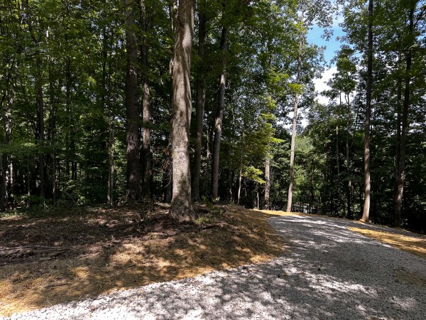 Tract 8 at The Woods at Titus property photo