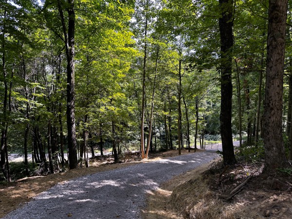 Tract 8 at The Woods at Titus property photo