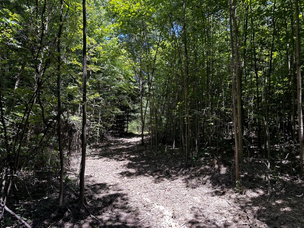 Tract 8 at The Woods at Titus property photo