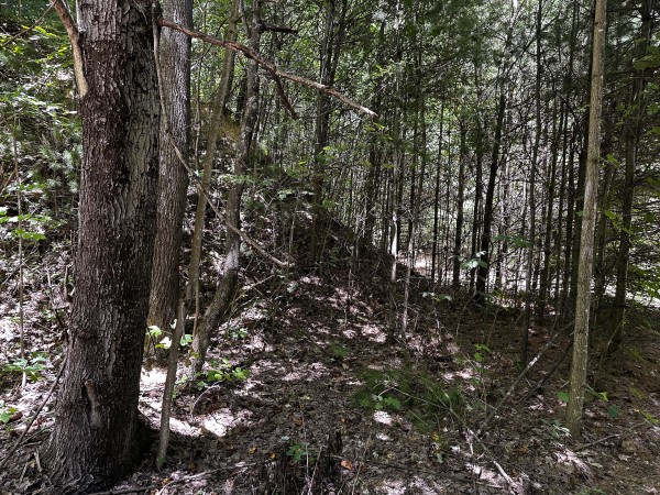 Tract 8 at The Woods at Titus property photo