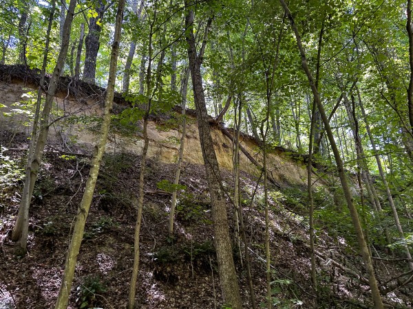Tract 8 at The Woods at Titus property photo