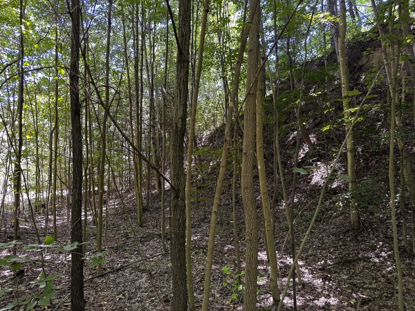 Tract 8 at The Woods at Titus property photo