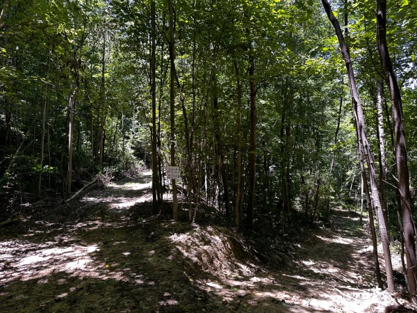 Tract 8 at The Woods at Titus property photo