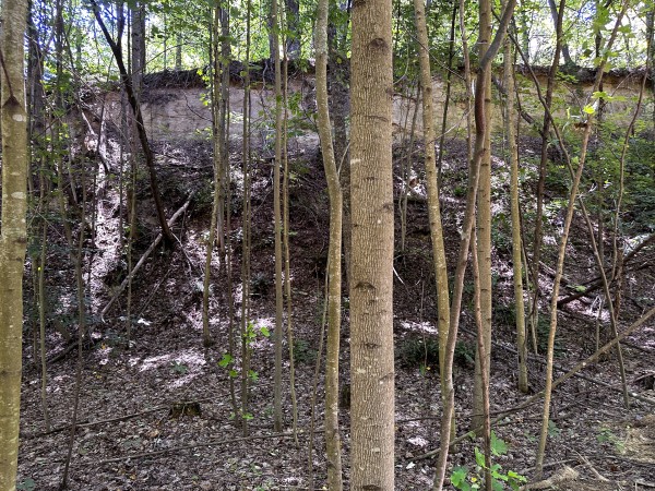 Tract 8 at The Woods at Titus property photo