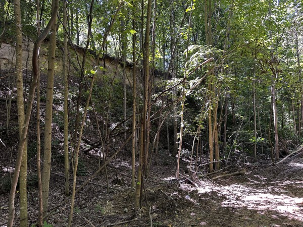Tract 8 at The Woods at Titus property photo