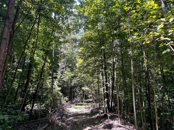 Tract 8 at The Woods at Titus property photo