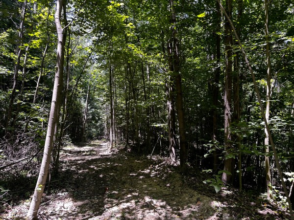 Tract 8 at The Woods at Titus property photo