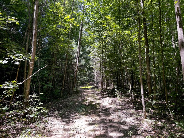 Tract 8 at The Woods at Titus property photo