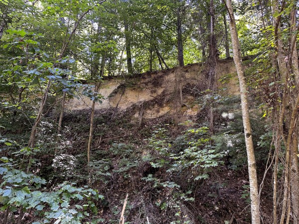 Tract 8 at The Woods at Titus property photo