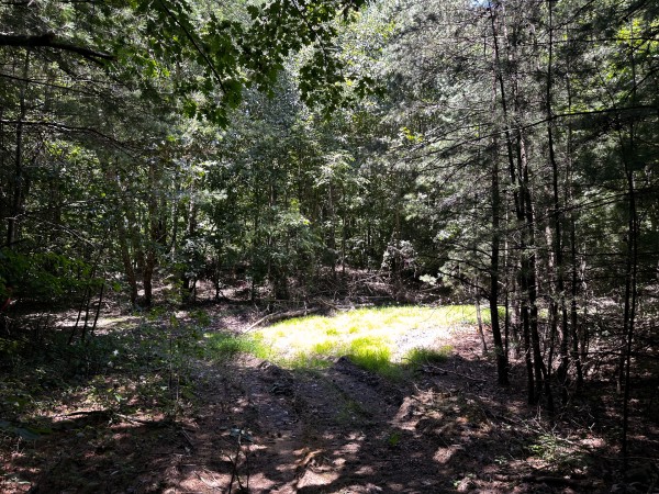 Tract 8 at The Woods at Titus property photo