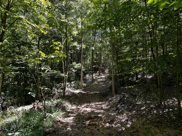 Tract 8 at The Woods at Titus property photo
