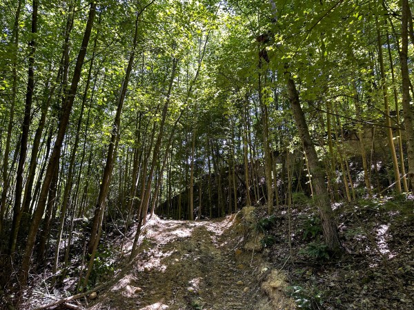 Tract 8 at The Woods at Titus property photo