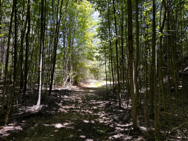 Tract 8 at The Woods at Titus property photo