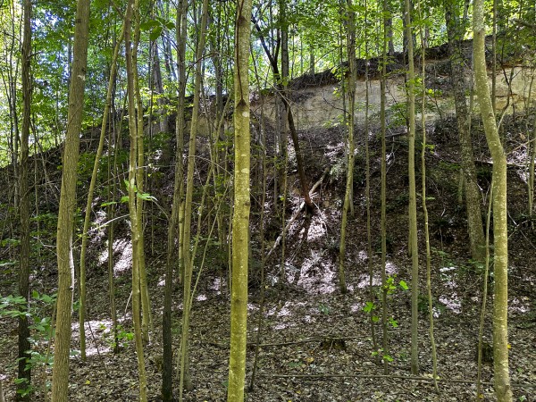 Tract 8 at The Woods at Titus property photo