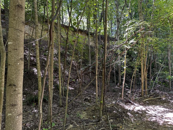 Tract 8 at The Woods at Titus property photo