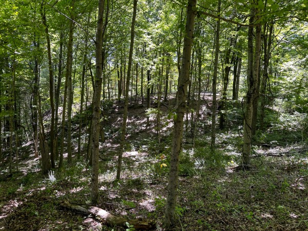 Tract 8 at The Woods at Titus property photo