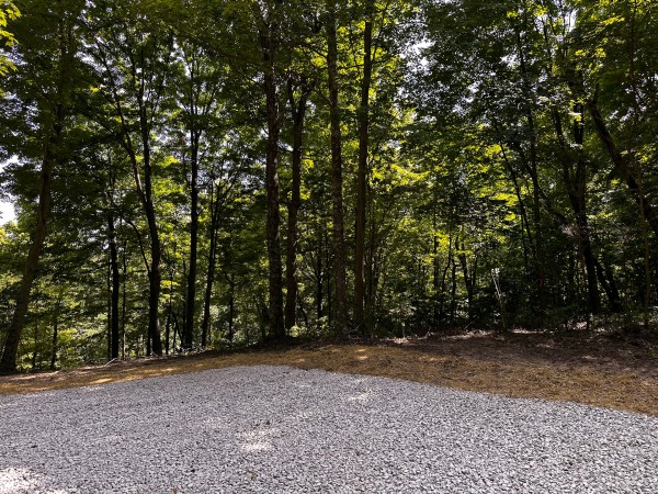 Tract 8 at The Woods at Titus property photo