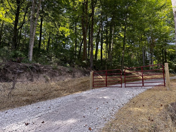 More of Tract 8 at The Woods at Titus