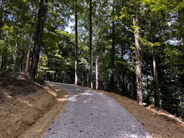 More of Tract 8 at The Woods at Titus